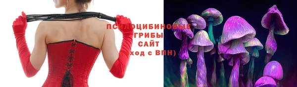 герыч Арсеньев
