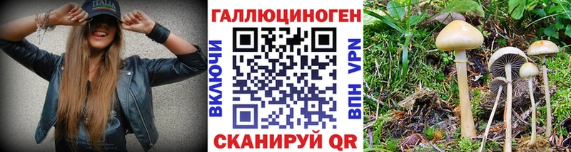 Галлюциногенные грибы Magic Shrooms  Купить  Щёкино 