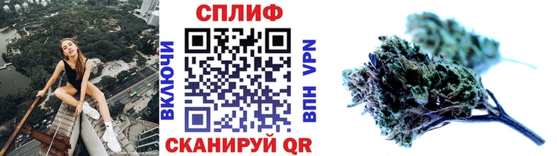 Бошки Шишки гибрид Щёкино